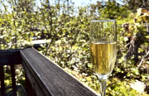 Roseville Apartment | Treetop stay: private balcony, full kitchen