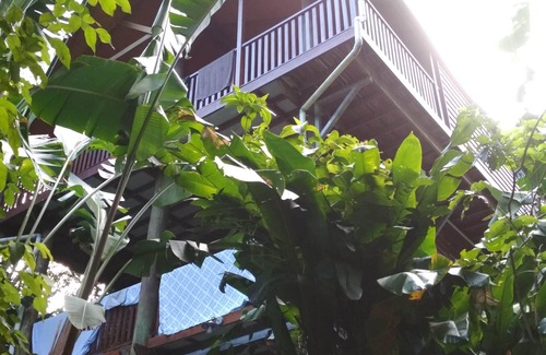 Bingil Bay House | 'TreeTops By The Sea': Your Family Holiday Escape!