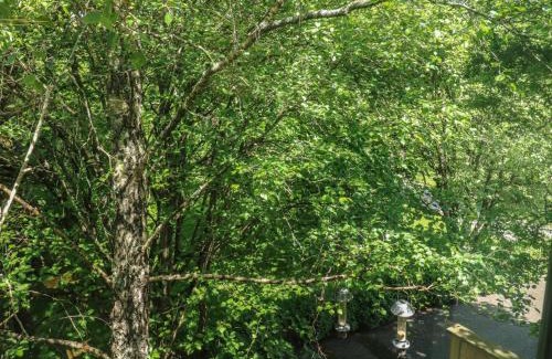 Newton Poppleford House | Treetops