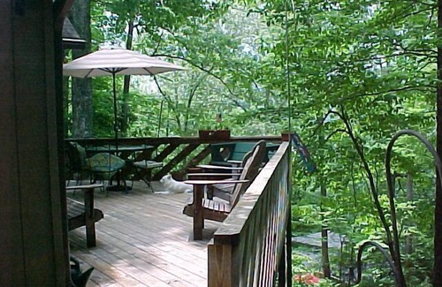 Hendersonville House | Treetops is a true mountain get-a-way - it's paradise!