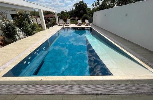 Arad Bed & Breakfast | TREND