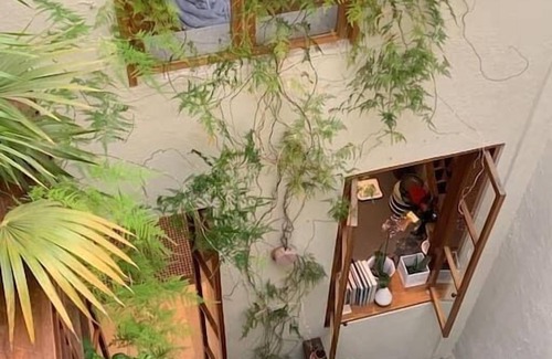 Roma Norte House | Trendy entire 1900s house exquisitely decorated.