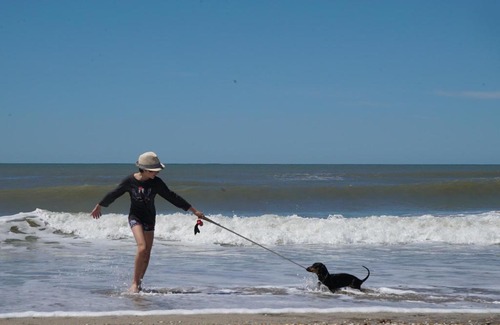 Mar de Cobo Apartment | Tres Cabos - Apart de Mar y Bosque
