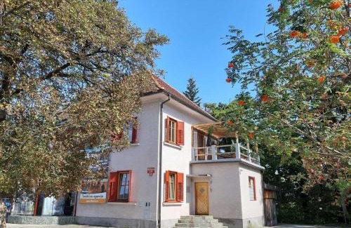 Kranj House | Triglav Apartment House