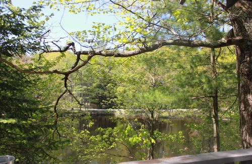 Port Sydney Hotel | Trillium Resort & Spa