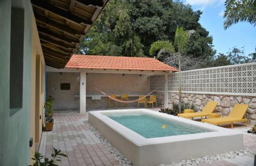 Zona Centro House | Trilliza Azul