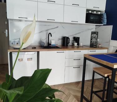 Sztutowo Apartment | Trimare Blue Apartament Sztutowo