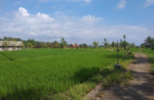 Penebel House | Trinadhi Homestay