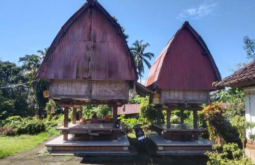 Penebel House | Trinadhi Homestay