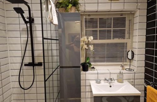 City Centre Dublin Apartment | Trinity Cottage 2 bed with mezzanine
