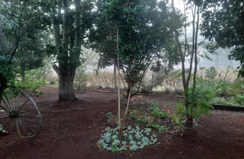 Wondai House | Trinity House