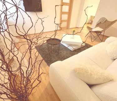 Ostrava Apartment | Trio Apartments