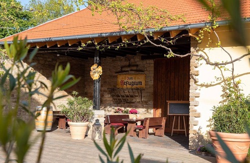 Bad Sobernheim House | Triple room (1 double bed + 1 single bed) - Tullius - The Vineyard