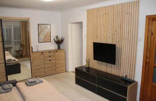 Sfantu Gheorghe Apartment | Tristan`s Home
