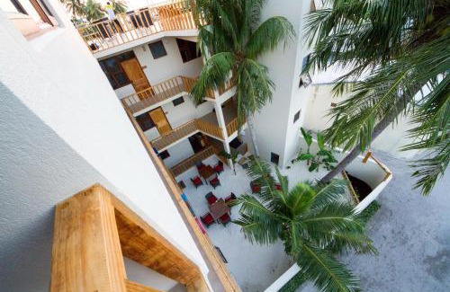 Gulhi House | Tropic Tree Maldives