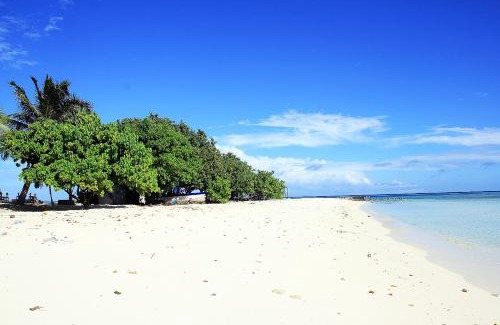 Gulhi House | Tropic Tree Maldives