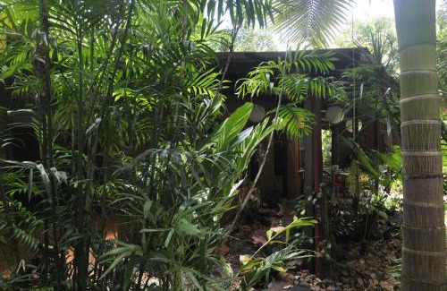 Utchee Creek Bed & Breakfast | Tropical Bliss bed and breakfast
