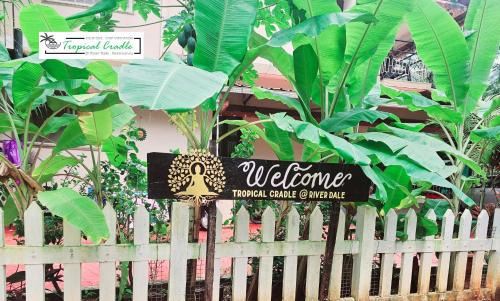 Tonse West House | Tropical Cradle @ River Dale