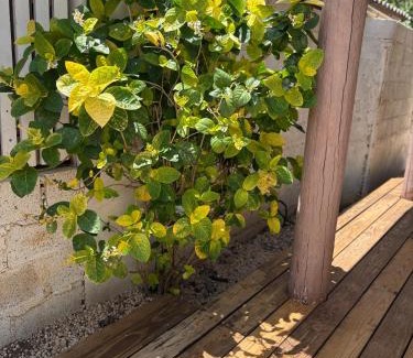 Santa Catharina House | Tropical Escape - Peaceful 2BR with Nature Vibes