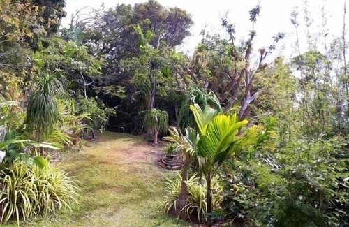 La Montagne House | Tropical garden, pretty garden level, sea view, terrace, flower garden