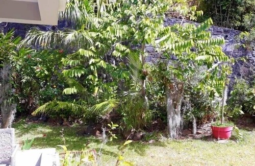 La Montagne House | Tropical garden, pretty garden level, sea view, terrace, flower garden