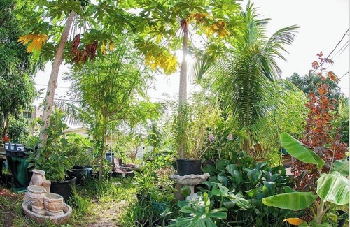 Coral Ridge Isles House | Tropical Garden: 15mins from FTL Airport & 2 Miles from FTL Beach
