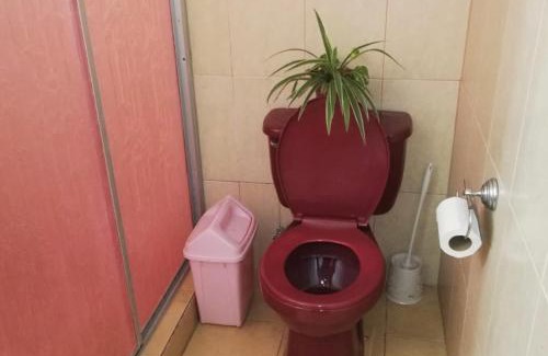 Hato Viejo Ski Chalet | Tropical Gavilla