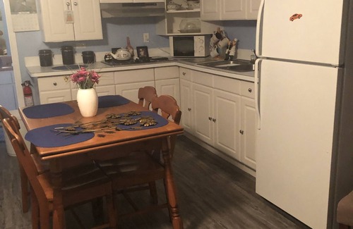 Bayonet Point Apartment | Tropical holiday efficiency