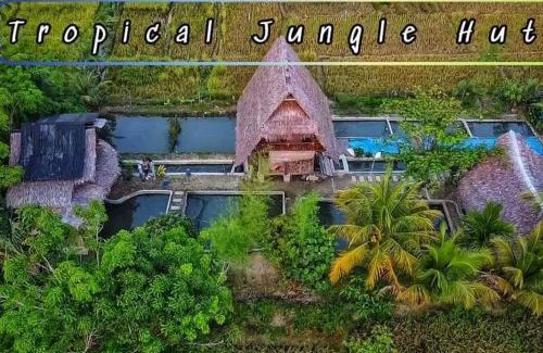Bohorok House | Tropical Jungle lodge & Jungle trekking