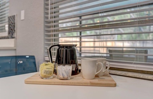 Temple Terrace House | Tropical Luxury Escape with Backyard Oasis & Pool