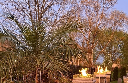 Palos Heights House | Tropical oasis 6000 ft.² estate just 30 minutes from downtown Chicago