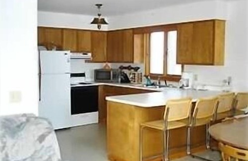 Wolcott Cottage | Tropical Paradise in NY Palm Trees,