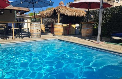 Raisin House | Tropical Paradise
