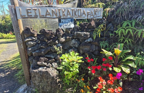 Fern Acres Apartment | Tropical Rain Forrest Nature Retreatnn