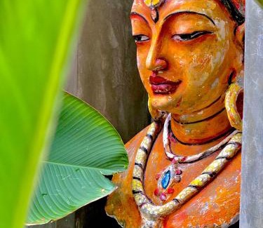 Ambalangoda Bed & Breakfast | Tropicana Hideaway Hikkaduwa