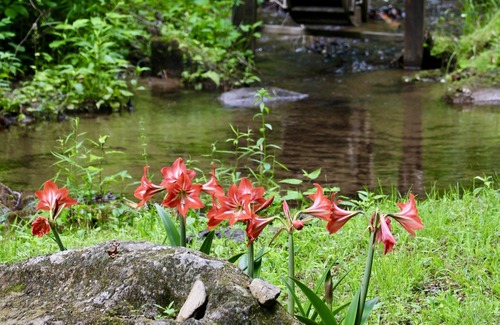 Marble Cabin | Trout Creek Getaway. 2 bedroom, 2 bathroom cabin on the creek with HOT TUB!