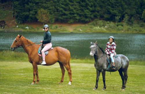 Nyanga Resort | Troutbeck Resort
