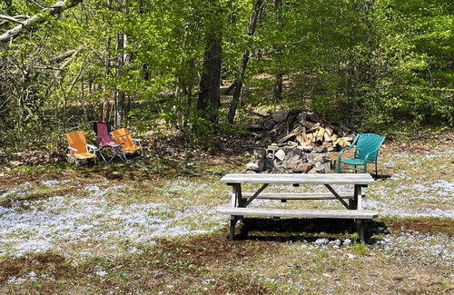 Mayfield Cabin | True Adirondack Retreat! Nestled in the Mountains!