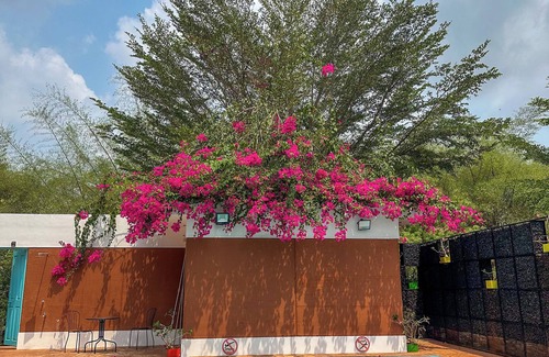Auroville Villa | Truliv Bougan Villa