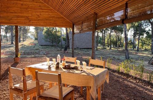 Analamanga Cabin | TSIAZOMPANIRY ISLAND LODGE