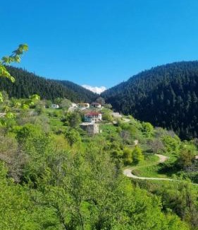 Lamia House | Tsigaridas Mountain Home