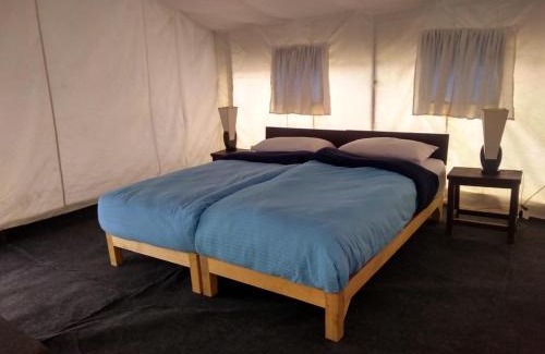 Leh Cabin | Tso Camp Man Pangong Lake