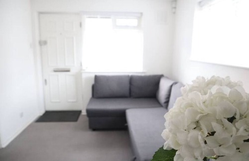 Nightingale Apartment | TTSA- Essential 1 Bedroom Apt Balham-Free Parking