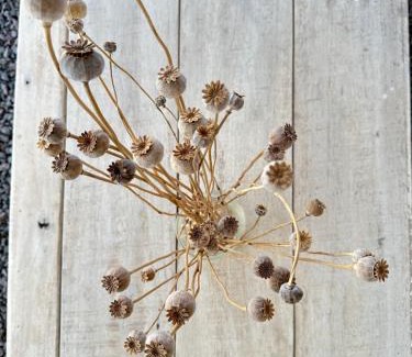 San Antonio de Areco Apartment | Tu lugar en Areco