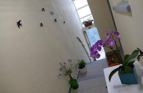 Mirandela Apartment | TUACASA