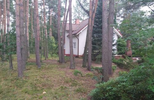 Promnice House | Tuczno Dom w lesie