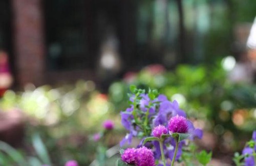 Summerville Bed & Breakfast | Tudor Oaks Inn