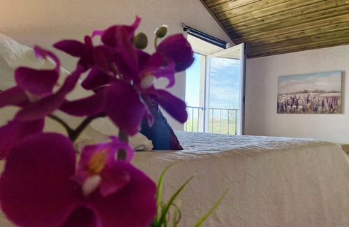 Sao Vicente do Paul Other | Tufa Guest House & Wellness Place