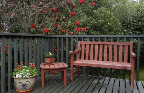 Lake Tarawera House | Tui Glen - Lake front bach with stunning views