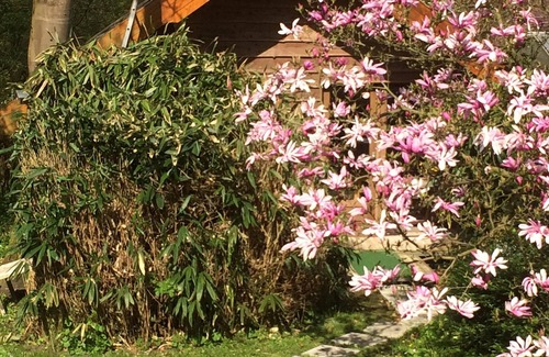 Ubbergen Cottage | Tuinhuis De Beverburcht